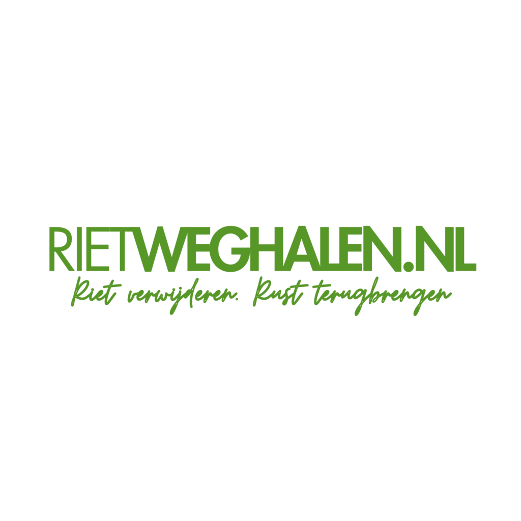 website laten maken goedkoop